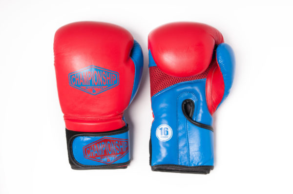 Boxing Gloves (Pure Leather)