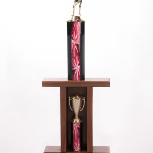 Trophie 15 x 10