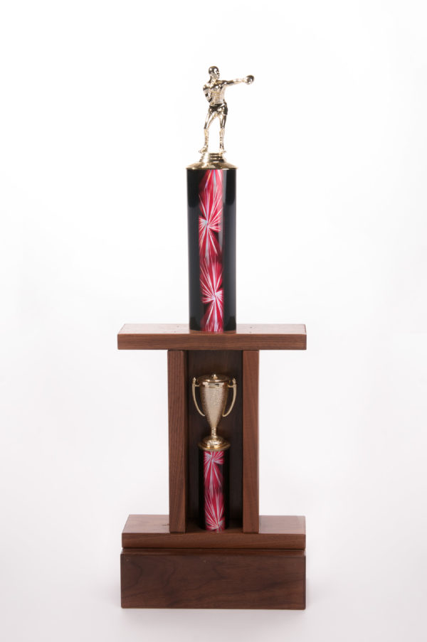 Trophie 15 x 10